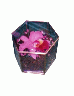 BOX WITH ORCHID
